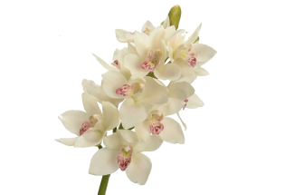 Mākslīgā orhideja