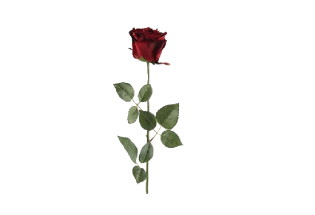 Mākslīgais zieds Roze sarkana